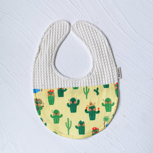 In Stock | Cactus