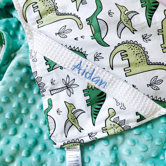 PERSONALIZED 3D MINKY BLANKET| Cartoon Dyno