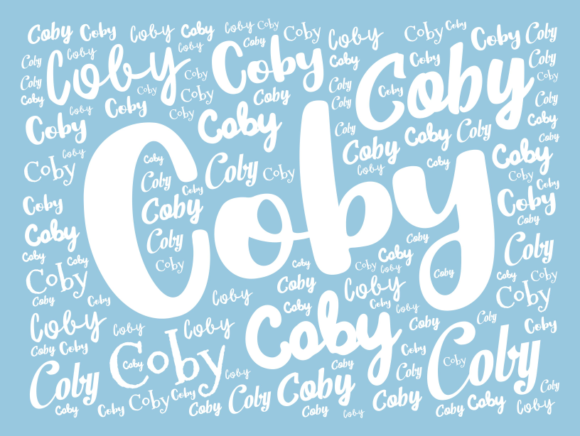 PERSONALIZED FLEECE BLANKET| Coby