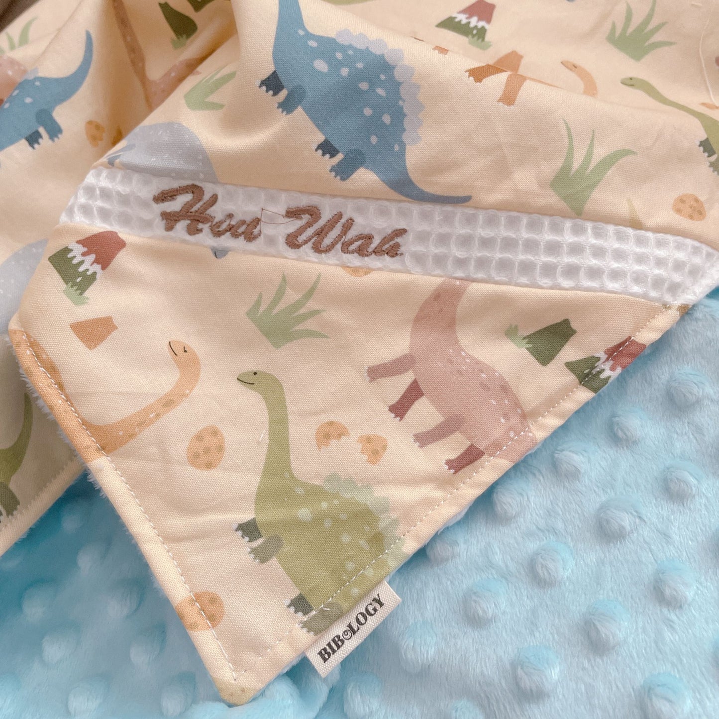 PERSONALIZED 3D MINKY BLANKET | Dino