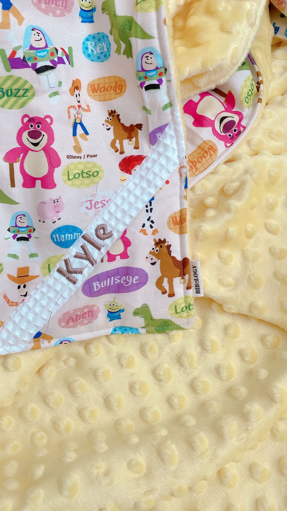 PERSONALIZED 3D MINKY BLANKET| Toy Story speech bubble