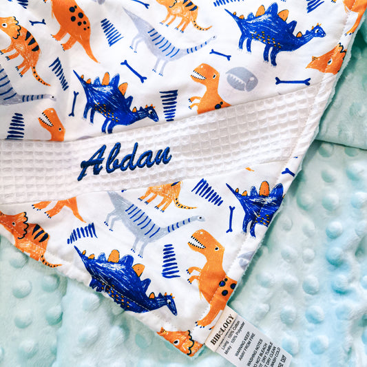 PERSONALIZED 3D MINKY BLANKET | Dinos