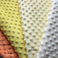 PERSONALIZED 3D MINKY BLANKET| Dumbo